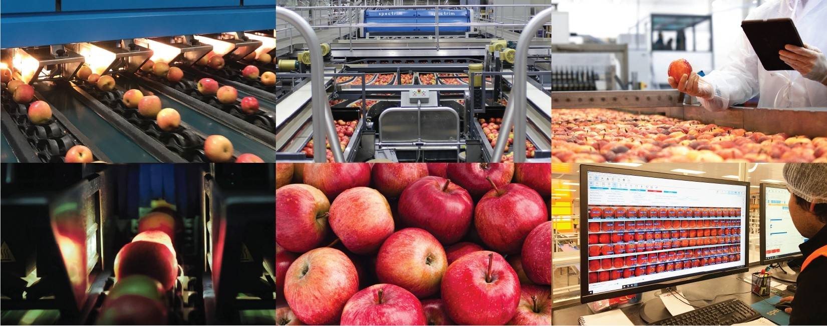 蘋果缺陷和瑕疵