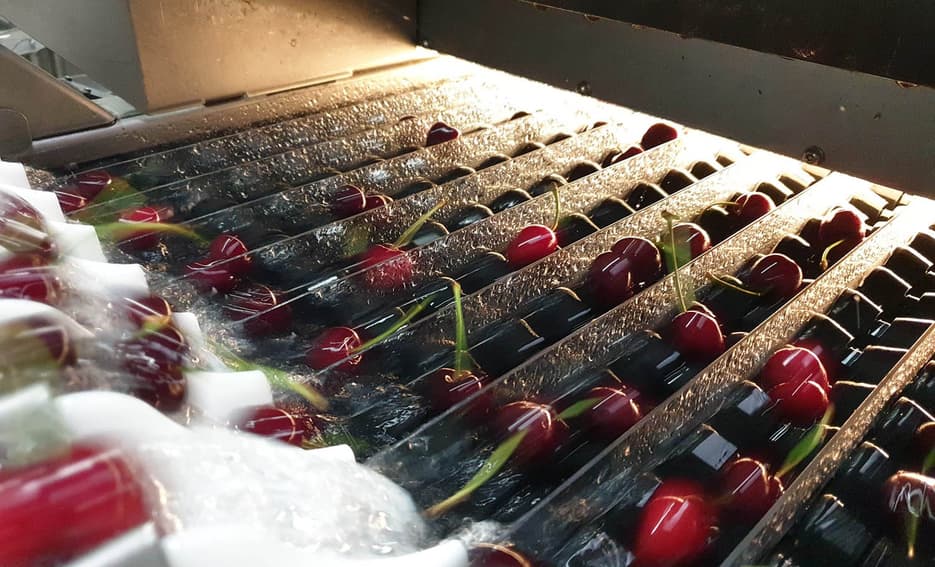 MIRA 360櫻桃分選