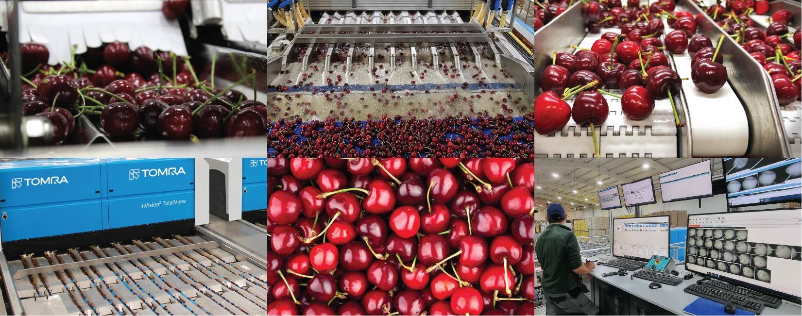 櫻桃缺陷和瑕疵