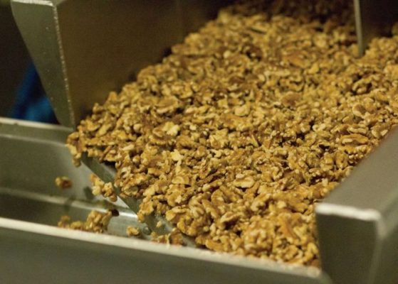 Andersen & Sons Shelling采用Nimbus BSI分選機提升核桃分選效率和產量