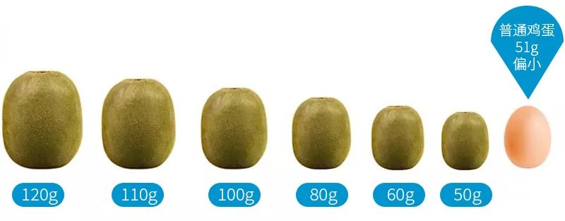 不同大小的獼猴桃分級