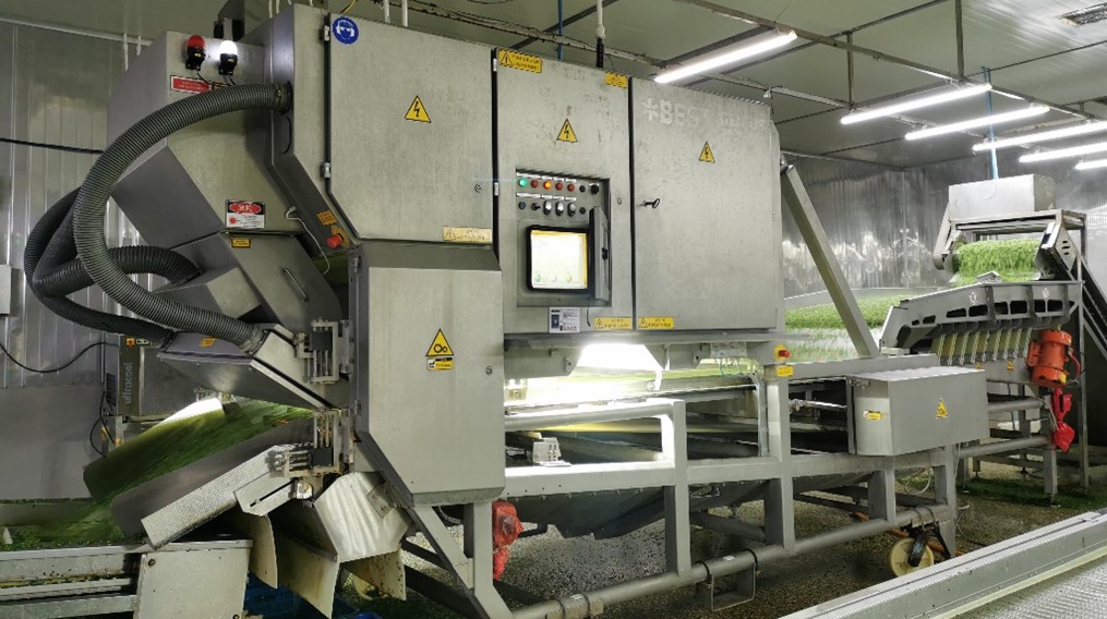 斗元選擇了陶朗自動化分選解決方案