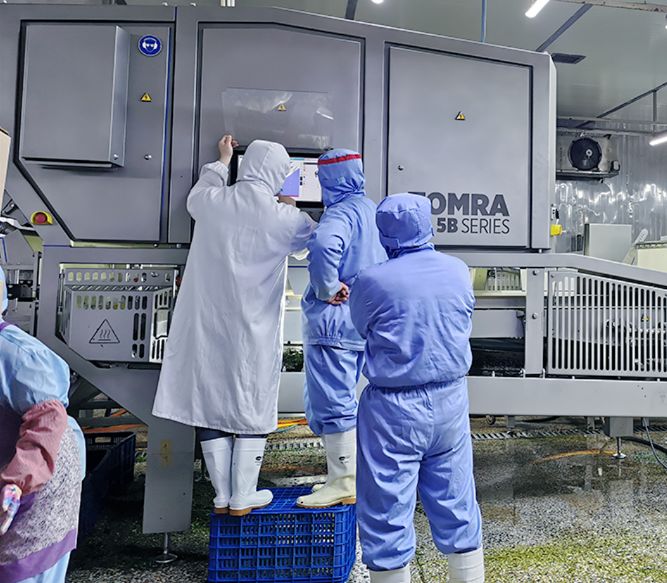 陶朗為斗元定制的TOMRA 5B，配置了組合激光技術，色選，透射，形狀分選等技術。