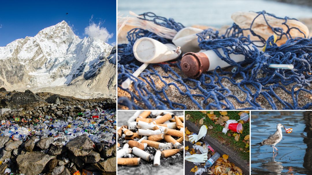 全球變暖、臭氧層破壞、土地荒漠化、物種滅絕