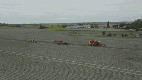 比利時霍夫泰爾希勒（Hove Ter Hille）農場