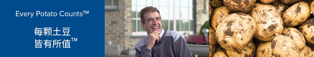 比利時霍夫泰爾希勒（Hove Ter Hille）農場馬鈴薯分選