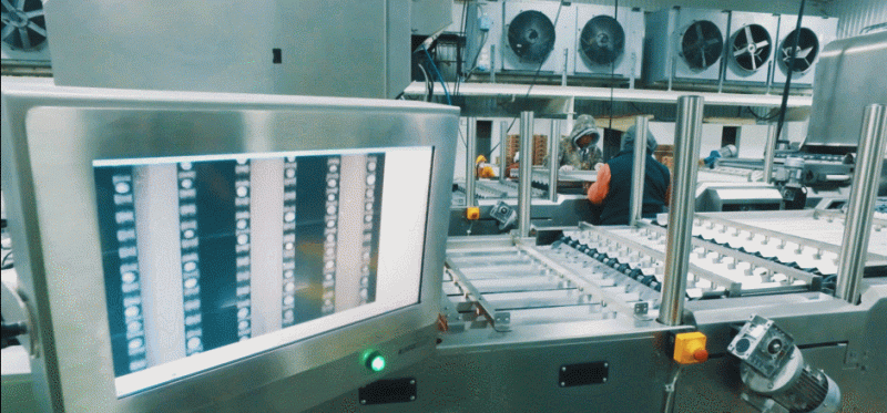 全方位檢測每一顆藍莓，對品質實時監測