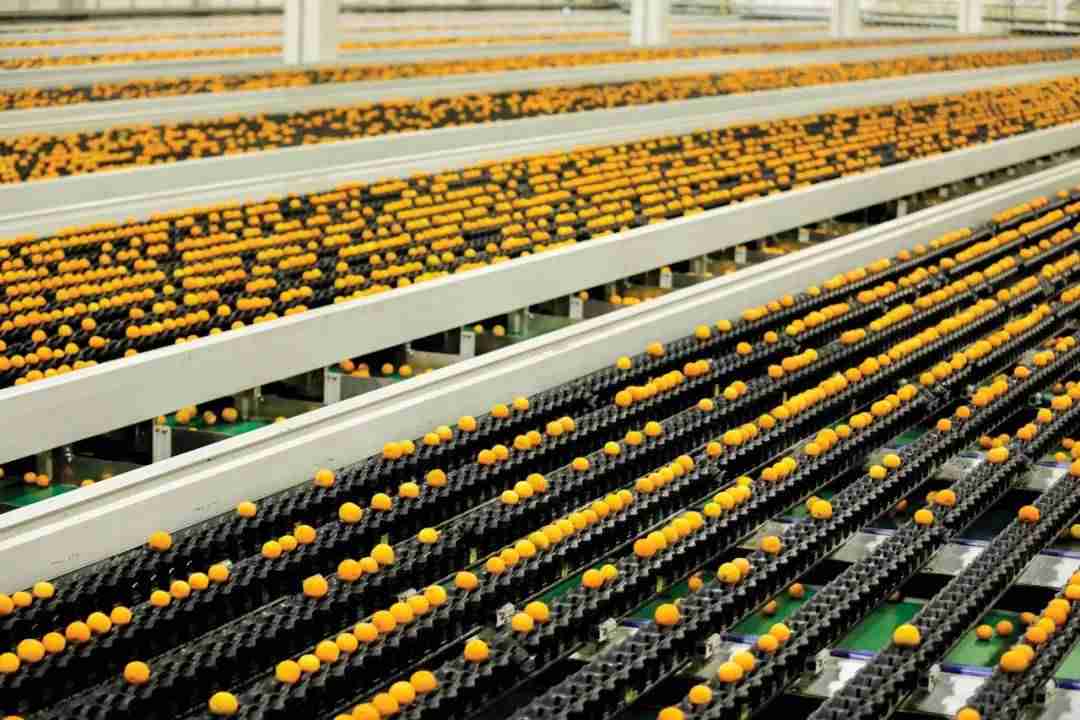 水果產線標準化模塊設計