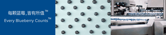 每顆藍莓，皆有所值