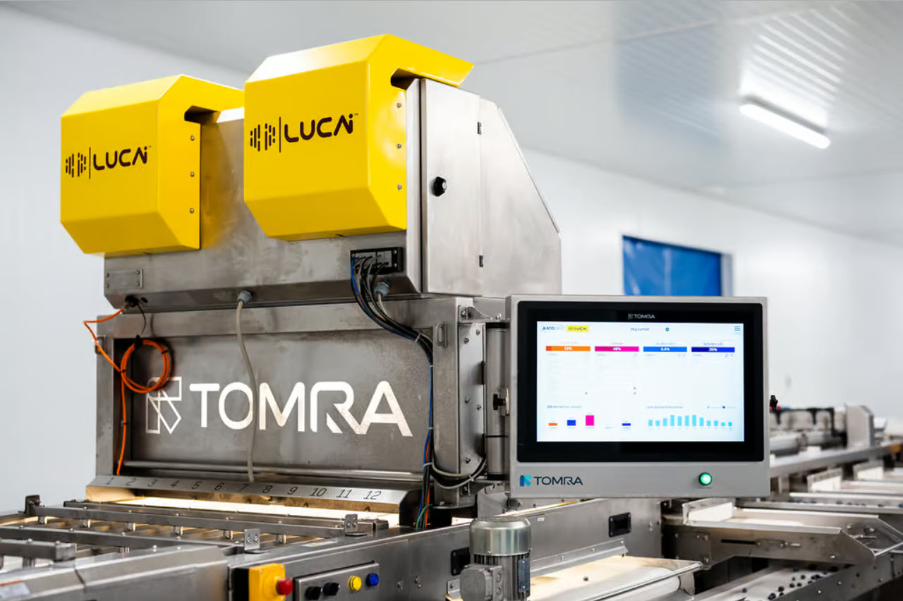 Logofruits使用陶朗食品分選和分級系統提升藍莓生產和出口業務