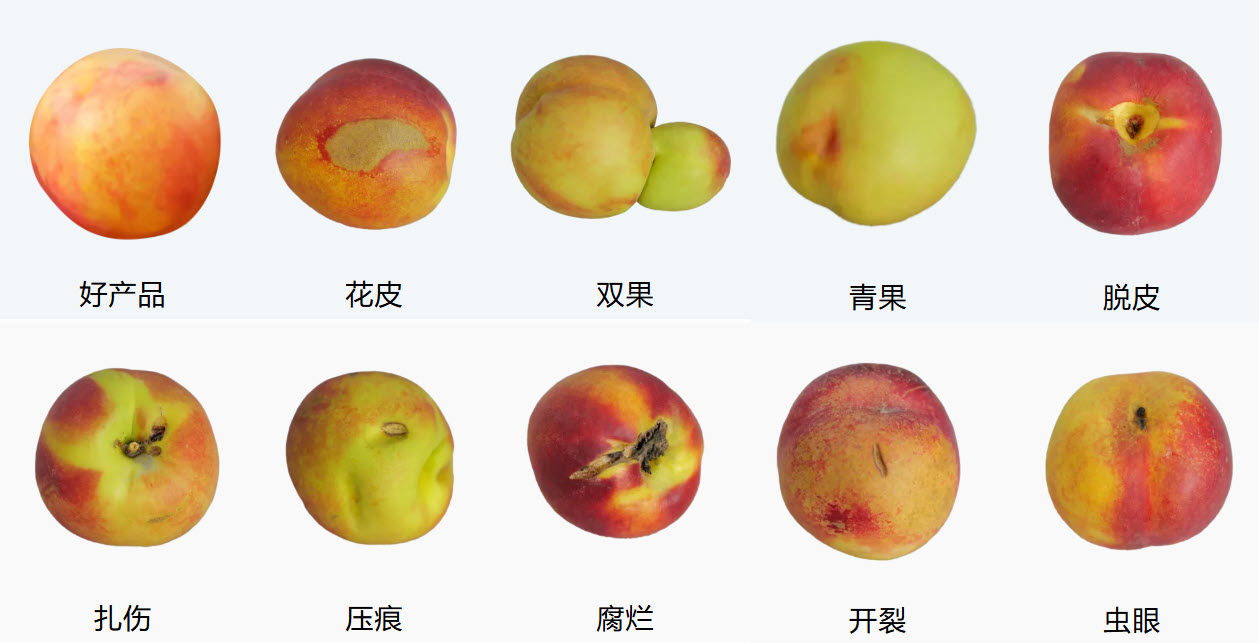 油桃缺陷和瑕疵示例圖