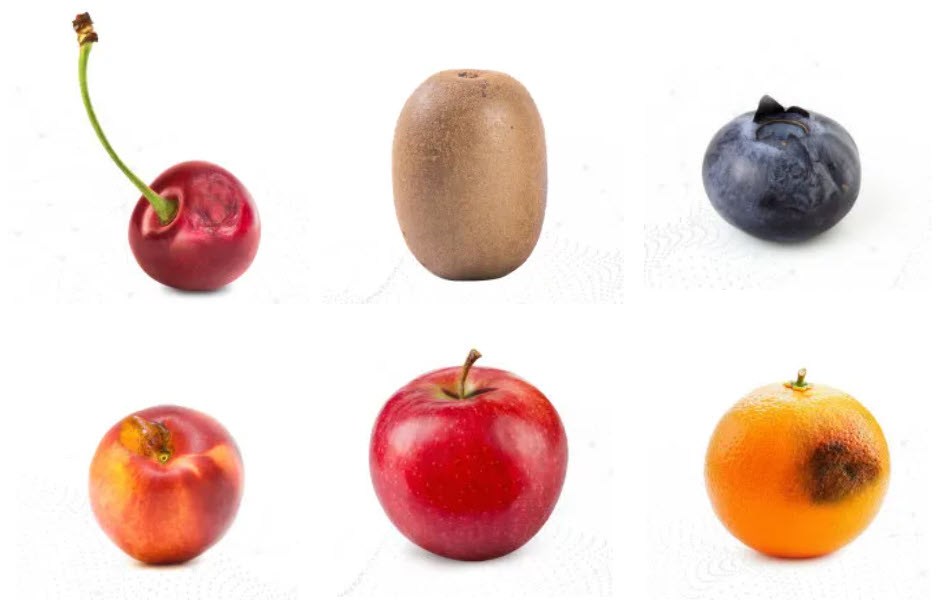 傳統機器學習難以識別的輕度腐爛、日灼傷、軟果、剪切損傷、果窩缺陷等。