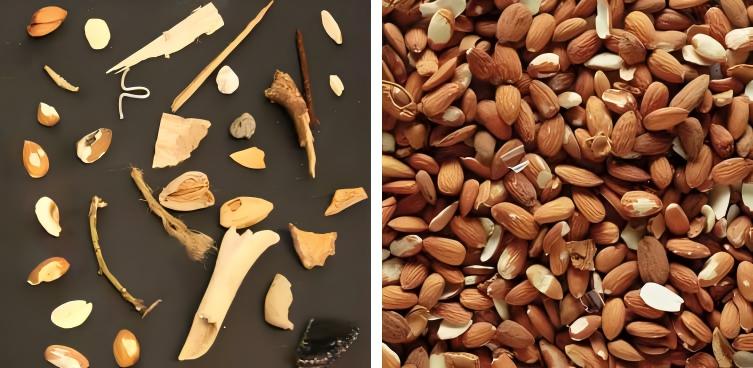 物理異物如石塊、金屬、玻璃碎片是食品安全的基本紅線，必須100%剔除。